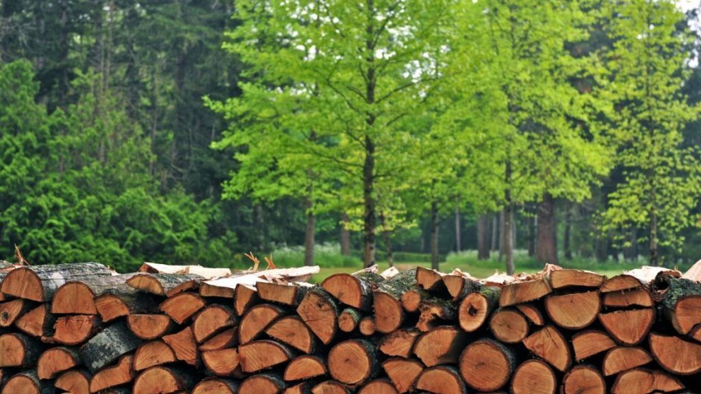 Из-за повышенного спроса дрова стремительно дорожают