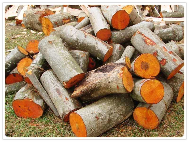 Как правильно выбрать банные дрова?